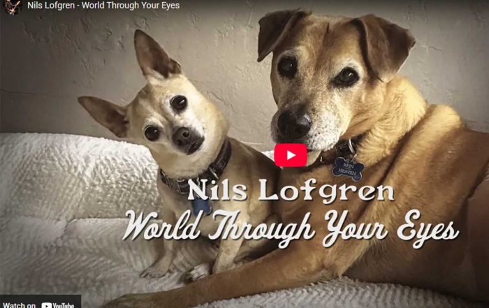 Going to the Dogs, For a Good Cause